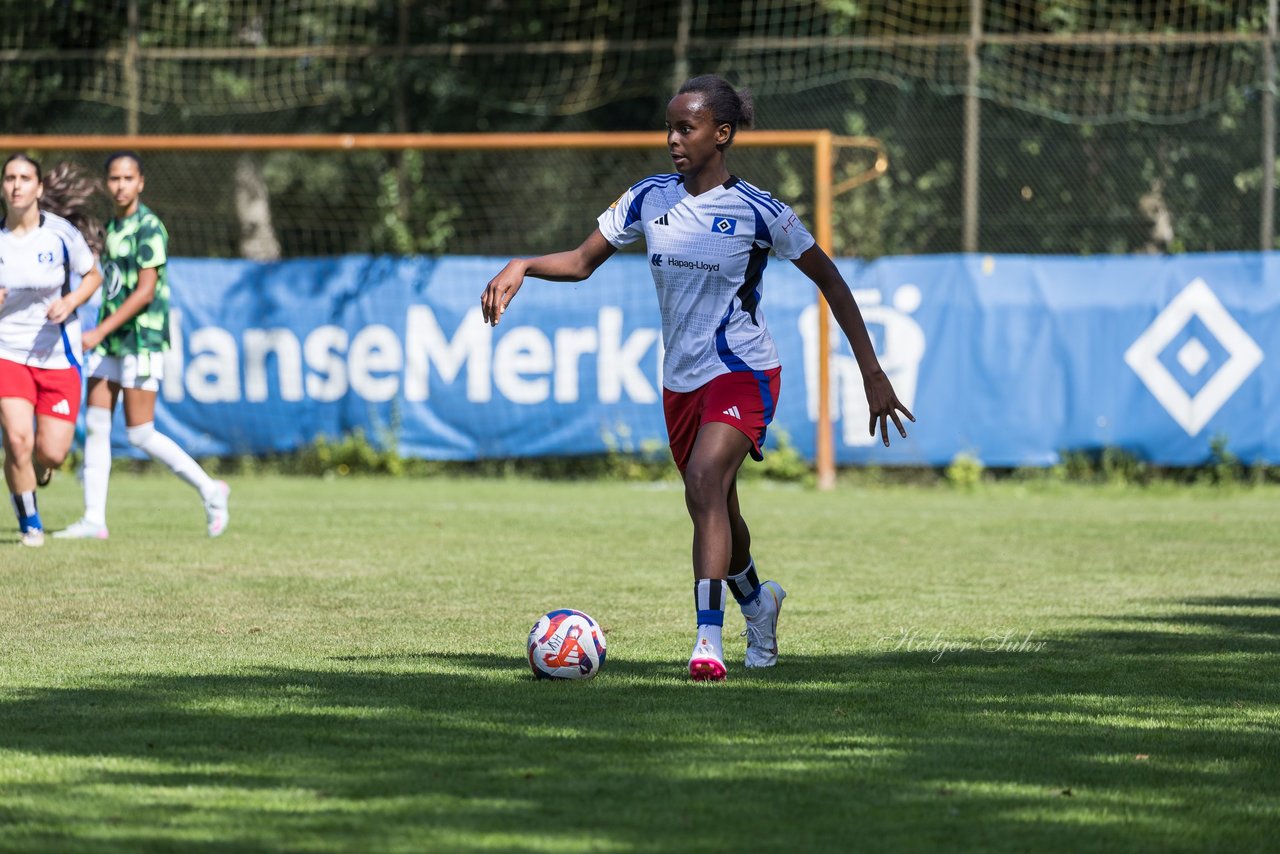 Bild 383 - wBJ Hamburger SV - VfL Wolfsburg : Ergebnis: 5:1